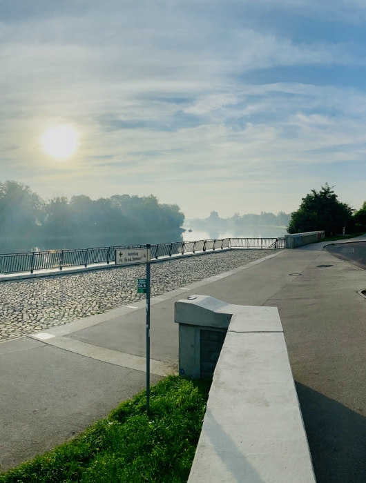 Hier sehen Sie die schöne Aussicht von der Elbpromenade zum Stadtpark